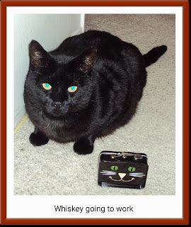 A black cat with a lunchbox with a black cat on it