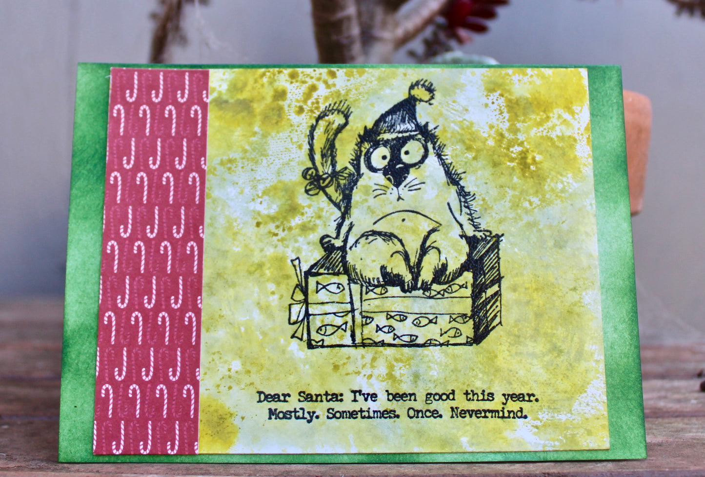 Christmas Cat Naughty List - Cat Noir CC