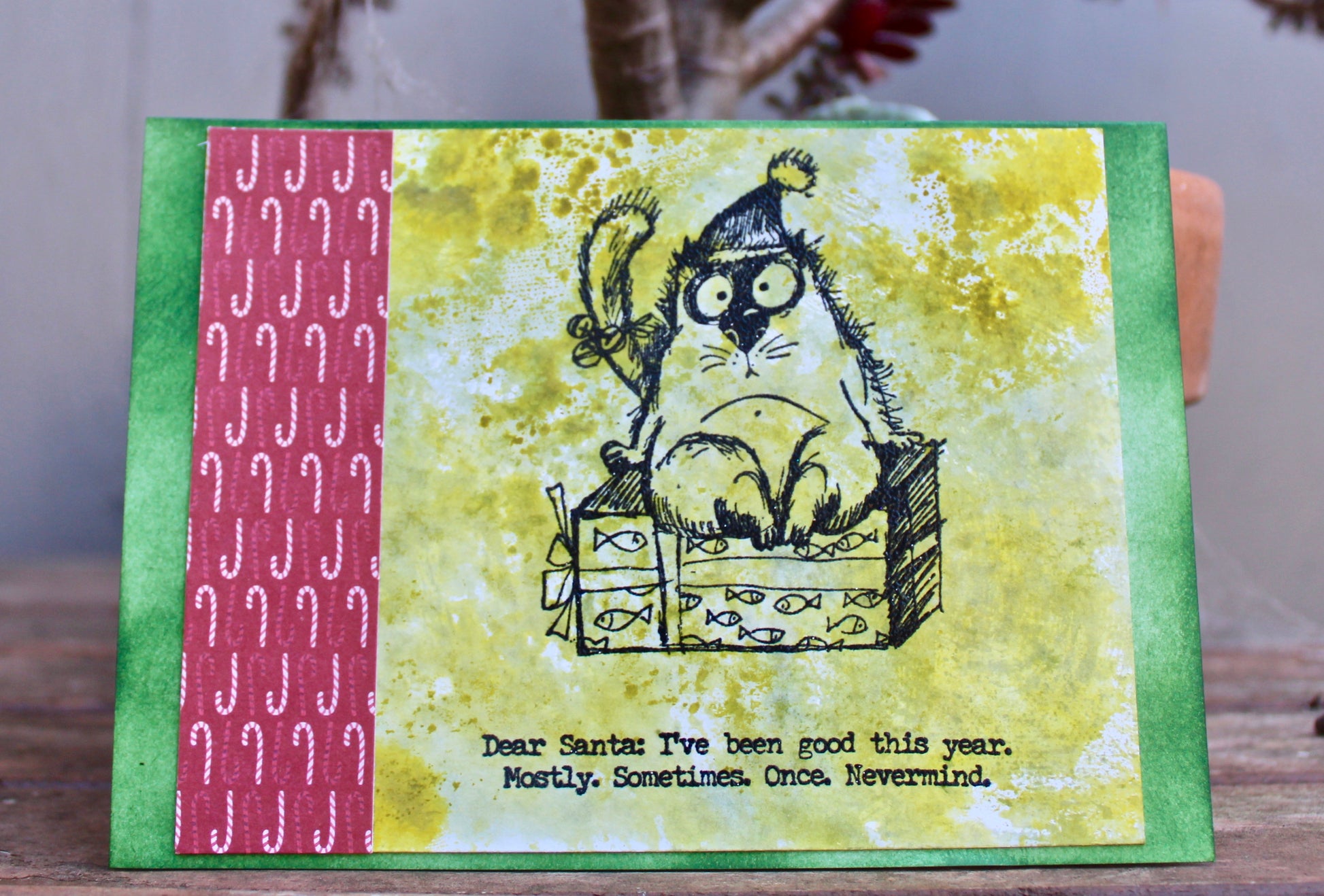 Christmas Cat Naughty List - Cat Noir CC