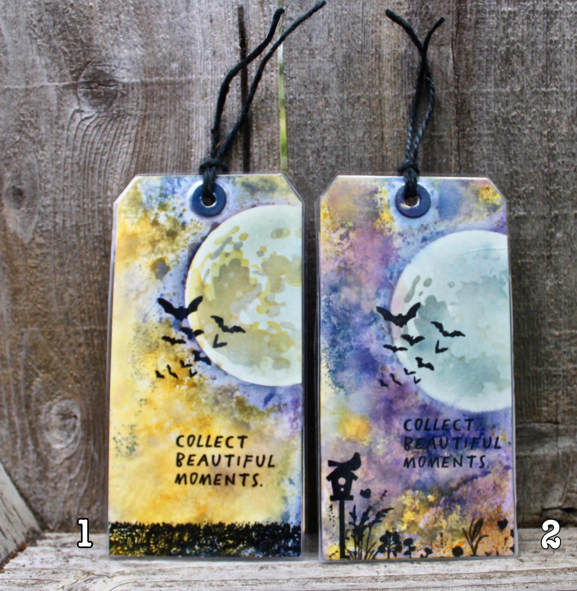 Moon Over Field - Cat Noir CC