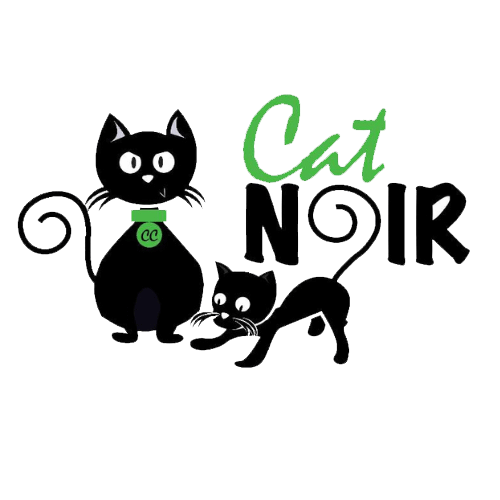 Cat Noir CC
