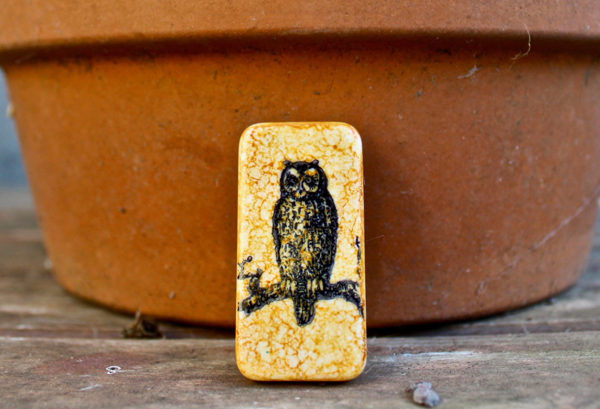 Hootie the Owl - pin - Cat Noir CC